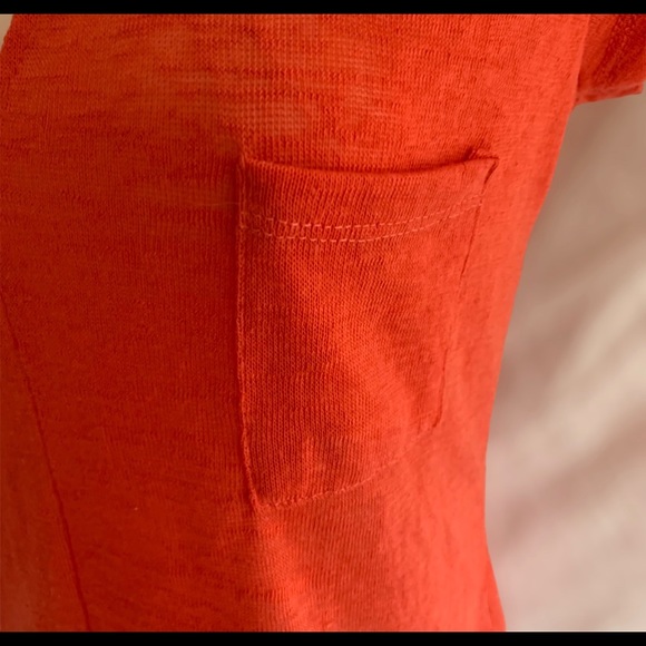 🐾Essentials🐱 - Picture 2 of 3